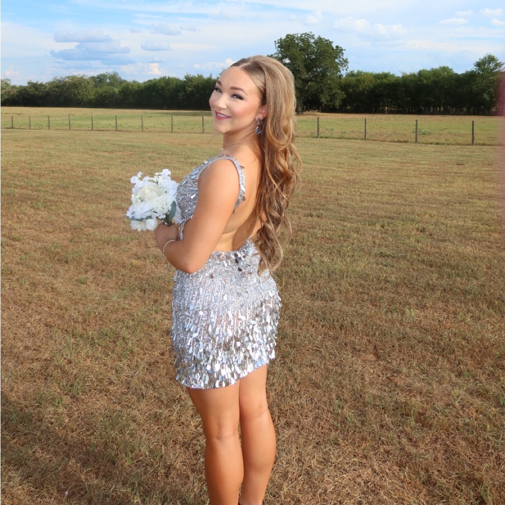 Silver Sequin Dress